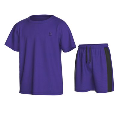 Essenclo Boys Athletic Shorts and Performance T-Shirt Crew Neck Boy Clothes Set, Summer Kids Outfit Size 3-16 (2 Pcs Set) - E1002 - Purple - 13-14
