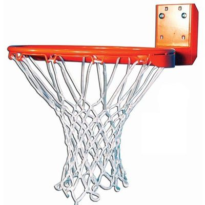 Institutional Extra Strength Alloy Rear Mount Fixed Goal with Nylon Net