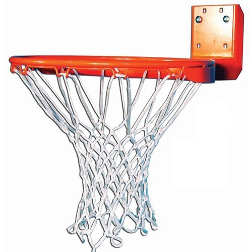 Institutional Extra Strength Alloy Rear Mount Fixed Goal with Nylon Net