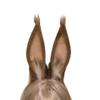 ATekatac Rabbit Ears Handmade Animal Ears Halloween Cosplay Bunny Ears Flower Headband (Tan1)