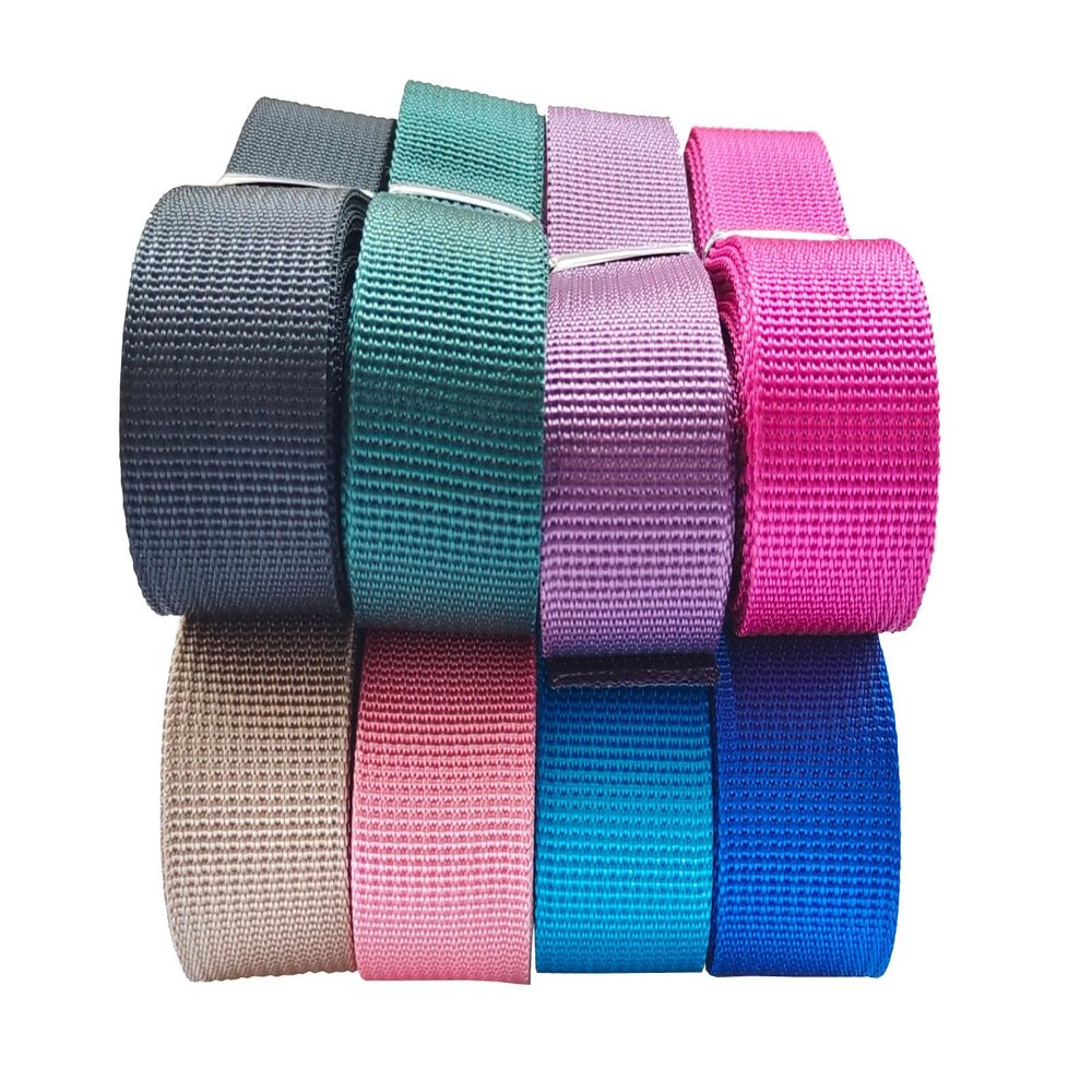 MONIDOOR 1 Inch Nylon Webbing 24 Yards Durable Flat Nylon Strap for Backpack Cargo Strap Pet Leash or Collar Craft(152444,Mixed Color 4)