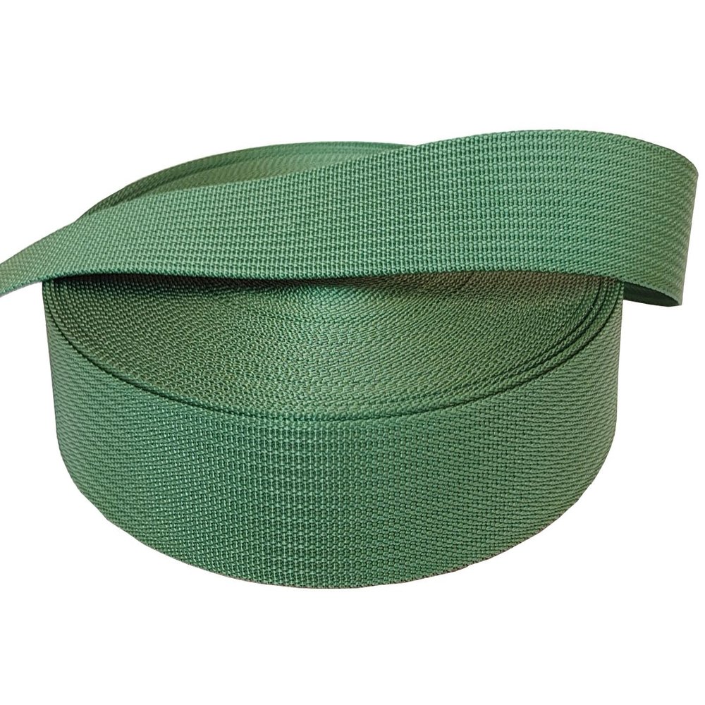 MONIDOOR 1 Inch Nylon Webbing 20 Yards Durable Flat Nylon Strap for Backpack Cargo Strap Pet Leash or Collar Craft(152039,Green)