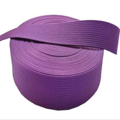 MONIDOOR 1 Inch Nylon Webbing 20 Yards Durable Flat Nylon Strap for Backpack Cargo Strap Pet Leash or Collar Craft(152009,Purple)