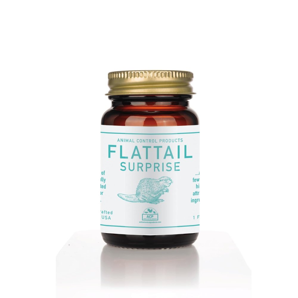 Flattails Surprise 1 Ounce Non-Toxic Paste Bait | Castoreum Oil & Beaver Oil & Other Highly Attractive Ingredients to Trap Beavers | Attractive to Canines and Bobcats
