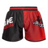 Hansber Kids Muay Thai Shorts Boys Girls Boxing Shorts Trunks Kick Martial Arts Training Gym Clothing Type C 7-8 view 2