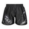 Hansber Kids Muay Thai Shorts Boys Girls Boxing Shorts Trunks Kick Martial Arts Training Gym Clothing Type N 11-12 view 3