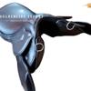 New Leather Endurance Saddle for Horse Free Girth Seat 15" to 18" (15", Brown) view 3