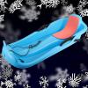 Two-Person Padded Sledges, Two-Handle Children's Sledges Frost-Resistant and Wear-Resistant Sledges, Sledges with Pull Ropes view 1