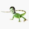 Lizard Zuckerberg ZUCC Sticker Vinyl Decal Car Laptop Wall Window Bumper Sticker 5" view 1