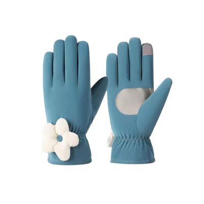 Cozy 1 Pair of Women's Winter Ski Gloves Cycling Warm Outdoor Padded Thickening Can Touch Screen Winter Gift