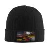 Vintage American Maryland State Flag USA America Beanie Winter Hat for Men Women Warm Knit Unisex Knitted Cuffed Skull Cap view 2