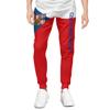 DABOYOZHZH Czech Republic Flag Sweatpants 3D Printed Soft Jogger Long Pants Running for Men Sports Multicolor view 2