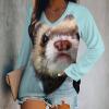 Ferrets Women's Casual Long Sleeve T Shirts V Neck Printed Graphic Blouses Tee Tops XL view 2