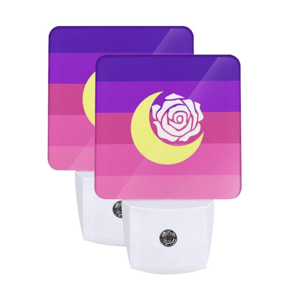 Qauirfe Transgender Pride Flag Night Light Set of 2 Home Decor