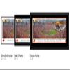 Oklahoma State Bedlam Celebration - 44x18-inch Double Mat, Deluxe Framed Picture by Blakeway Panoramas view 4
