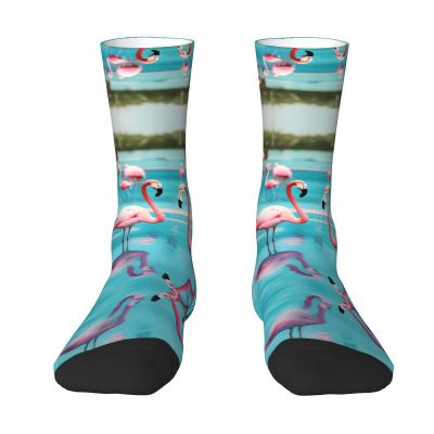 ZISHAK Flamingo And Swimming Pool Adult Sports Socks-Men'S Cotton Mid-Calf Socks:A Fusion Of Comfort,Style,And Functionality