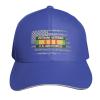Vietnam Veteran U.S. Air Force Hat Baseball Cap Duck Tongue Cap Adult Sandwich Hat Blue view 2