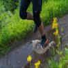 Swiftwick- PURSUIT FOUR Trail Running & Cycling Socks, Merino Wool, Durable Crew (Heather, X-Large) view 2