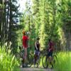 Swiftwick- PURSUIT FOUR Trail Running & Cycling Socks, Merino Wool, Durable Crew (Heather, X-Large) view 4