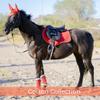 Alpine Tack Cotton Collection Dressage Bundle with Dressage Saddle Pad and Brushing Boots (Candy Red) view 3