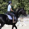 Alpine Tack Cotton Collection Dressage Bundle with Dressage Saddle Pad and Brushing Boots (Candy Red) view 4