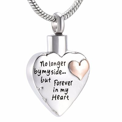 BIAIHQIE No Longer By My Side,But Forever In My Heart Stainless Steel Cremation Necklace For Ashes Of Loved Ones Memorial Jewelry,3