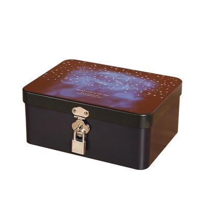 HEVIRGO Jewelry Storage Box 1 Set Tin Box with Lock Key Vintage Style Jewelry Storage Case for Home Retro-Inspired Jewelry Storage Box D L
