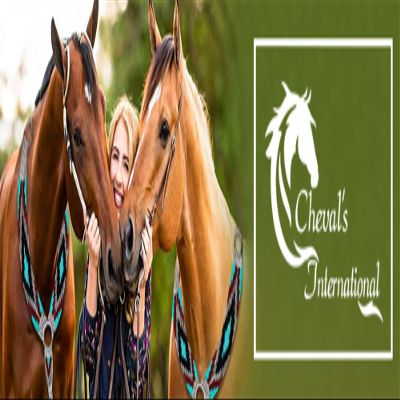 Cheval's International Western Mohair Horse Breast Collar, Handmade Premium Wool & Leather Equestrian Tack, Adjustable, Durable & Comfortable Saddle Breastplate for Horses - Aqua & Blue, Pony