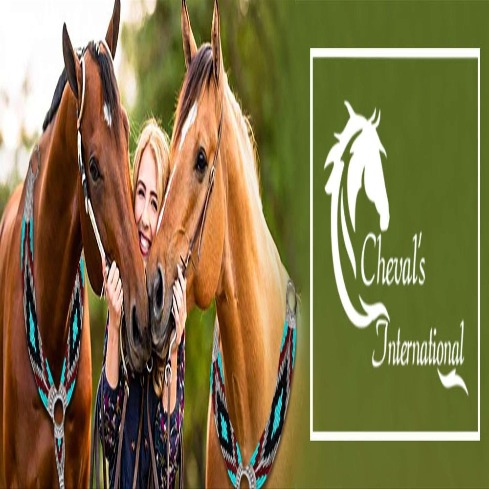 Cheval's International Western Mohair Horse Breast Collar, Handmade Premium Wool & Leather Equestrian Tack, Adjustable, Durable & Comfortable Saddle Breastplate for Horses - Aqua & Blue, Pony
