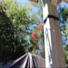 Zip Targets Drive Pulley Drop Kit, Carabiner, Cinch Strap, Cup Hook, Target Shooting, Target System, Zip Range view 2