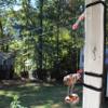Zip Targets Drive Pulley Drop Kit, Carabiner, Cinch Strap, Cup Hook, Target Shooting, Target System, Zip Range view 3