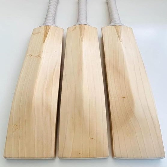 Plain Grade 1 English Willow Cricket Bats | Made in India by Medieval Knights |
