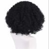 Animation Men Short Black Color Wavy Frizzy Synthetic Fiber Heat Resistant Cosplay Afro Wig view 4