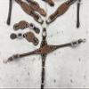 MOUSM Genuine Argentina Cow Leather Complete Headstall Breast Collar Set Decorated with Hand Tooled and Carved White Raw Hide Braiding. (Wither Strap, Spur Strap, Bornce Halter & Headstall Set) view 3
