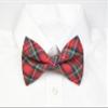 Christams Bow Tie, Tartan Bow Tie, Christmas Plaid Bow Tie, Red and Green Bow Tie, Pre Tied Bow Tie (#5, (Size)2Y-4Y) view 2