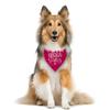 Big Sister Dog Bandana, Dog Bandana, Deep Pink Pet Dog Scarf Accessories, Pet Dog Triangle Scarf, Dog Bandana for Small Medium Dogs, Baby Announcement Dog Bandana, Dog Bandana Pet Scarf (M) view 3
