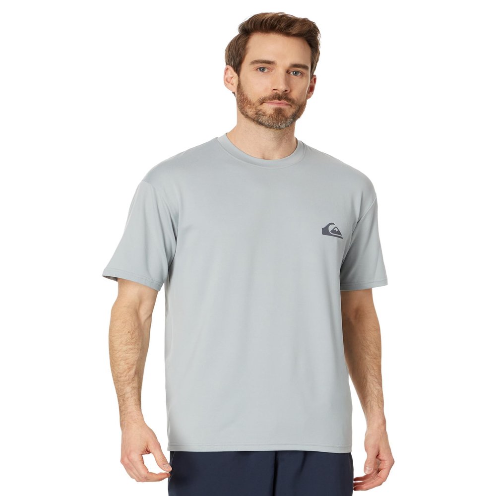 Quiksilver Mens Everyday Surf Tee Short Sleeve, Quarry, Small