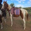 Cheval's International Wool Mohair Breast Collars & Saddle pad for Horse Riding Equipment & Horse Collar & Pad Pack of 2 (Pony-Beige) view 4