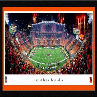 Cincinnati Bengals, Stripe - 41.5x15-inch Single Mat, Select Framed Picture by Blakeway Panoramas
