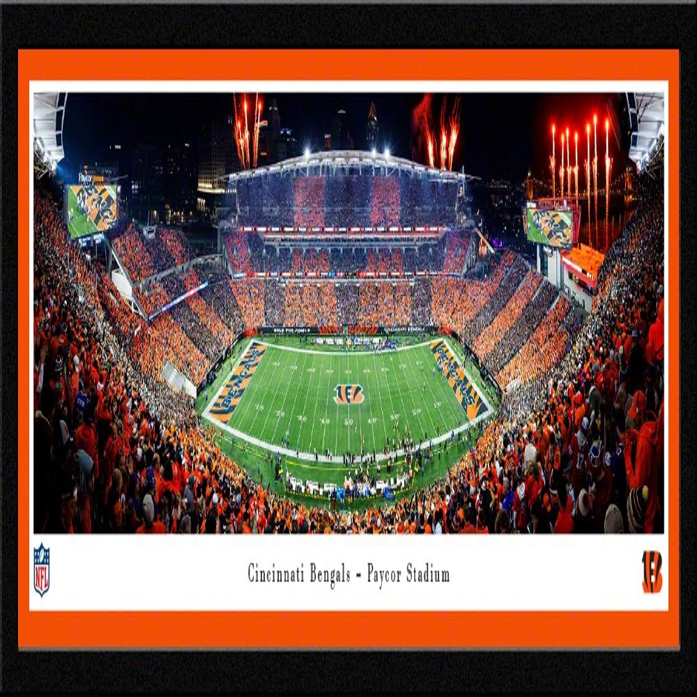 Cincinnati Bengals, Stripe - 41.5x15-inch Single Mat, Select Framed Picture by Blakeway Panoramas