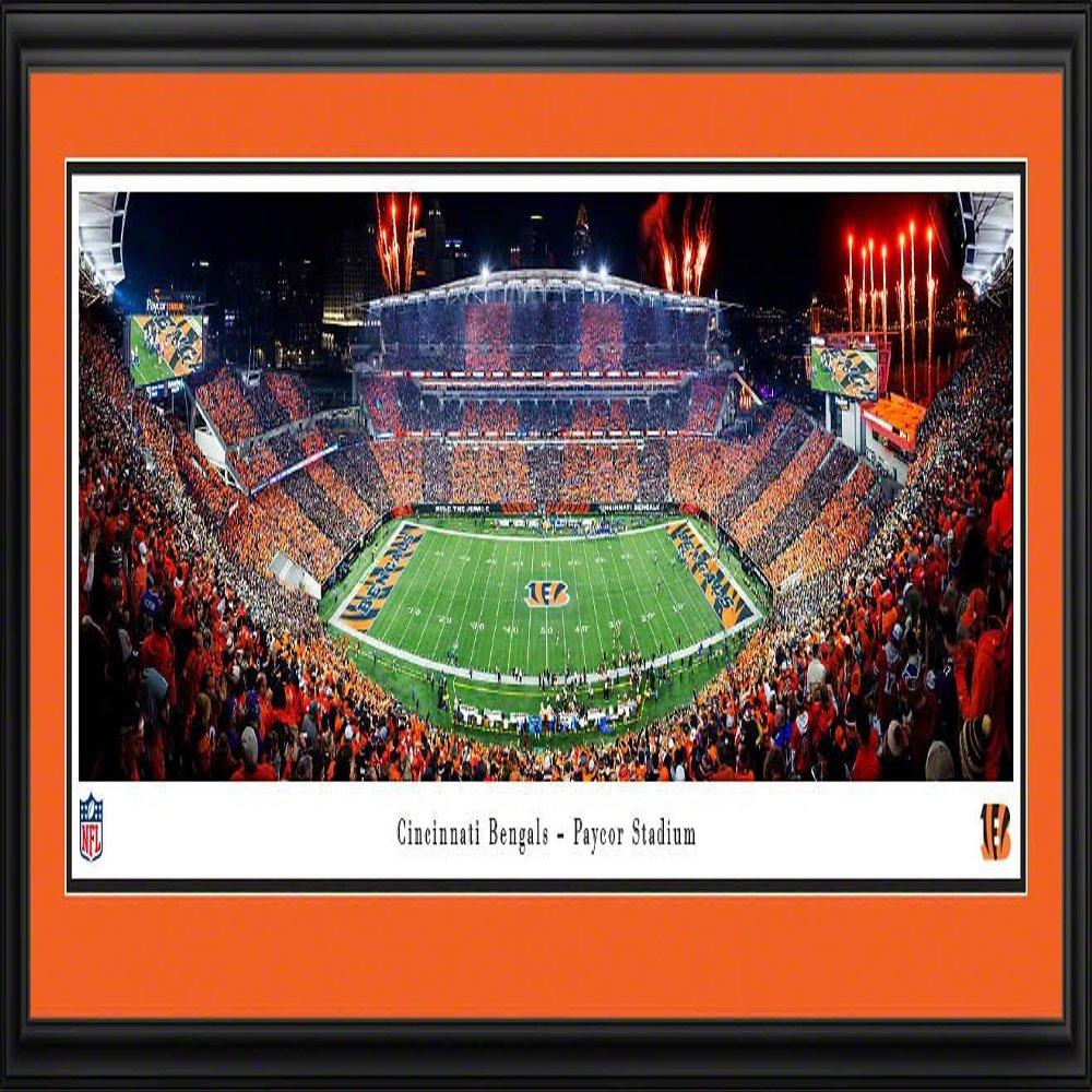 Cincinnati Bengals, Stripe - 44x18-inch Double Mat, Deluxe Framed Picture by Blakeway Panoramas