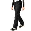 Dare2b Womens Womens Ice PantPants, Black, 10 Long view 1