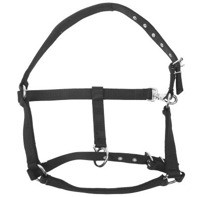 BESPORTBLE Horse Headstall Wear-Resistant Nylon Horse Training Collar for Use Lightweight Portable for Riding and Training Activities Black