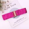 jascaela Womens Sparkly Sequin Belt Elastic Wide Waist Belt Stretch Waistband Party Cinch Belt for Dress view 3