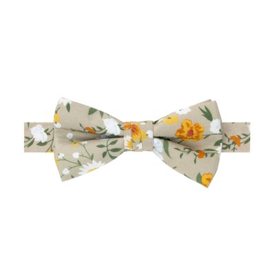 Spring Notion Boy's Cotton Floral Print Pre-tied Bow Tie, 74-Taupe Khaki Small