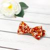 Spring Notion Boy's Cotton Floral Print Pre-tied Bow Tie, 75-Rust Medium view 2