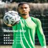 T1TAN Classic 1.0 White-Out - Goalkeeper Gloves - Without Finger Protection - Soccer Goalkeeper Gloves - Size 9 view 3