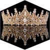 Gold Crown for Women Crystal Princess Tiaras Rhinestone Queen Headband Wedding Bridal Hair Accessories Birthday Prom Pageant Party Coming of Age Ceremony Photo Props view 1