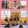 Ballet Barre Bar Ballet Bar Double Fixed Ballet Barre Heavy Duty Dancing Stretching Ballet for Home Dance Barre Fitness Ballet Bar for Kids (Pink 1.5M) (White 1.5M) view 2
