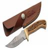 SANZ Damascus Hunting Knife 6.75 Inch - Fixed Blade Outdoor Knife with Wood Handle with Celtic Knots, Full Tang Blade & Sheath for Camping, Hunting & Outdoor uses for Men view 1